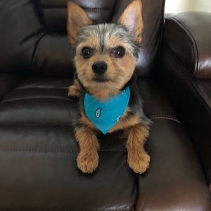 Meet your Posher, Ana